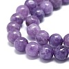 Natural Lepidolite/Purple Mica Stone Beads Strands G-O201A-05A-3