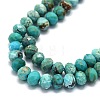 Natural HuBei Turquoise Beads Strands G-G106-A44-03-3