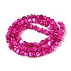 Natural Freshwater Shell Beads Strands SHEL-N037-04E-2