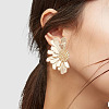 2 Sets 2 Color Alloy Flower Asymmetrical Earrings EJEW-FI0001-33-4