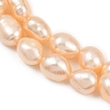 Natural Cultured Freshwater Pearl Beads Strands PEAR-P064-20I-03B-01-4