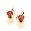 304 Stainless Steel Rhinestone Charms STAS-P237-10G-01-1