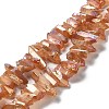 Natural Quartz Crystal Points Beads Strands G-K181-B26-2