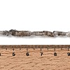 Natural Herkimer Diamond Beads Strands GG-CBA8084-03-5