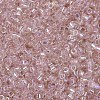MIYUKI Delica Beads SEED-X0054-DB1243-4