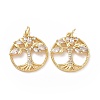 Brass Cubic Zirconia Pendants ZIRC-I062-15G-1