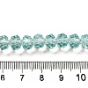 Transparent Baking Paint Glass Beads Strands LS-DGLA-A034-T8mm-D01-4