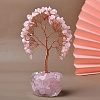 Natural Rose Quartz Sculpture Display Decorations PW-WGA03B5-01-1