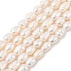 Natural Cultured Freshwater Pearl Beads Strands PEAR-I007-01D-04A-2