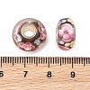 Lampwork & Brass Core European Beads LAMP-P019-01P-15-3