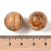 Natural Picture Jasper No Hole Sphere Beads G-K353-04D-15-3