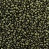 MIYUKI Delica Beads LS-X-SEED-J020-DB2404-2
