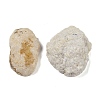 Natural Agate Geode Cornucopia Mineral Specimen DJEW-M014-02C-2
