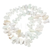 Natural Green Opal Beads Strands G-L657-E03-01-3