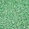 6/0 Baking Paint Transparent Fringe Glass Seed Beads X1-SEED-N006-06K-3