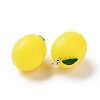 Opaque Resin Fruit Pendants RESI-H144-04-2