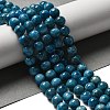 Natural Apatite Beads Strands G-S150-18-8mm-6