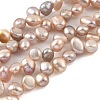 Natural Cultured Freshwater Pearl Beads Strands PEAR-A006-19A-2