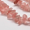 Cherry Quartz Glass Chip Beads Strands LS-G-L269-41-2