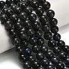 Natural Black Labradorite Beads Strands G-L642-B15-12mm-1