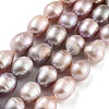 Natural Cultured Freshwater Pearl Beads Strands PEAR-P062-12D-2