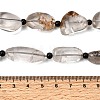 Natural Lodolite Quartz Beads Strands G-F820-M01-02-5