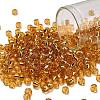 TOHO 6/0 Round Beads SEED-TR06-0022B-1