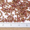 MIYUKI Round Rocailles Beads X-SEED-G007-RR0257-4