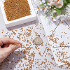 100G Glass Seed Beads SEED-SP0001-12A-01-3