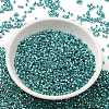Electroplate Glass Seed Beads SEED-S042-01B-17-2