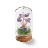 Natural Amethyst Chips Money Tree in Dome Glass Bell Jars with Wood Base Display Decorations DJEW-K030-02L-1