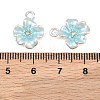 Alloy with Enamel Pendants AL-CBA1FD3-09S-02-3