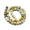 Natural Opal Beads Strands G-I356-A03-02-3