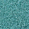 MIYUKI Delica Beads SEED-X0054-DB0079-3