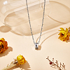 304 Stainless Steel with Clear Glass Rectangle Pendant Urn Ashes Necklaces for Women Men NJEW-WH0013-83P-01-4