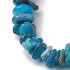 Natural Apatite Chip Beaded Stretch Bracelets BJEW-JB10868-01-3