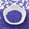 Baking Paint Glass Seed Beads SEED-S042-05B-74-2