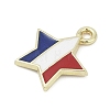 Independence Day Alloy Enamel Charms PALLOY-V001-07A-2