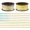 2 Rolls 2 Colors Segment Dyed Round Polyester Twisted Cords OCOR-TA0003-65A-3