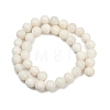 Natural White Shell Beads Strands BSHE-U002-01-3