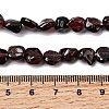 Natural Garnet Beads Strands G-P601-A10-02-5