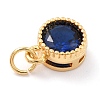 Real 18K Gold Plated Brass Inlaid Cubic Zirconia Charms ZIRC-L100-081G-08-4