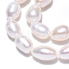 Natural Cultured Freshwater Pearl Beads Strands PEAR-N012-07R-3