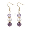 Round Natural Amethyst Dangle Earrings EJEW-JE06778-03-2