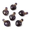 Natural Amethyst Pendants G-H252-C03-01-1