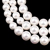 Electroplated Shell Pearl Graduated Beads Strands BSHE-C011-04-4