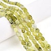 Natural Xiuyan Jade Beads Strands G-N346-04A-12-1