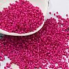 Baking Paint Glass Seed Beads X-SEED-S042-05B-69-1