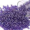 TOHO Round Seed Beads SEED-XTR08-0252-1