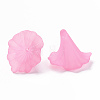 Transparent Acrylic Beads BSF796-C10-2